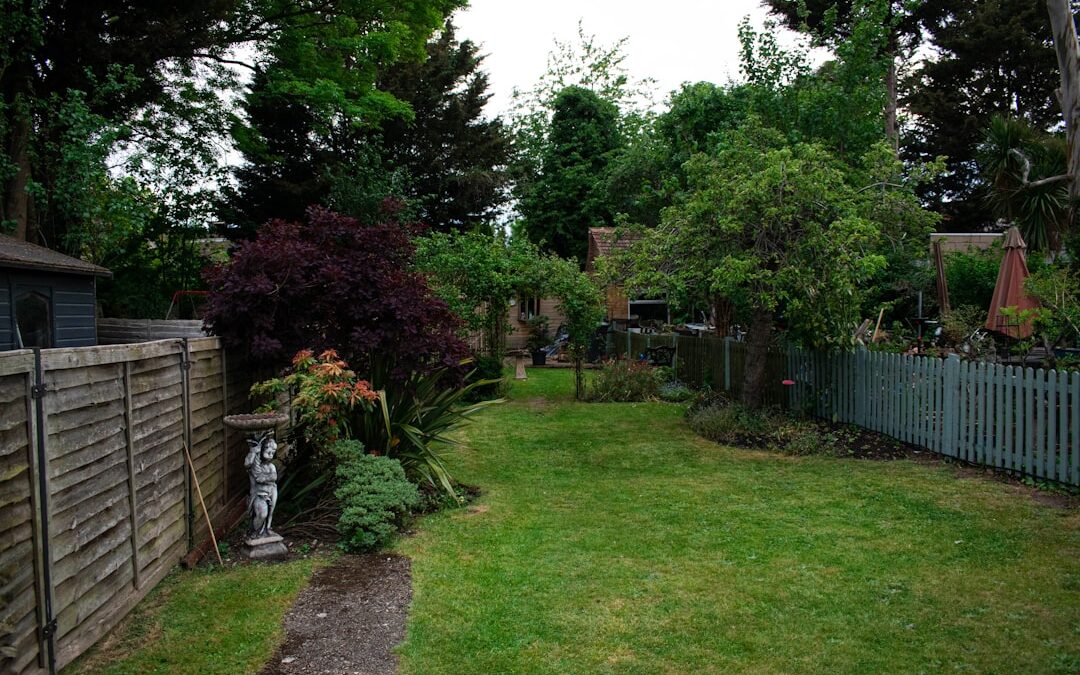 Strakke tuin bij een rijtjeshuis: ontwerp en aanleg voor een moderne uitstraling